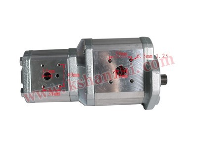Phụ tùng xe nâng Hanzhi 0009810187 Bơm thủy lực cho Linde.352, Nguyên bản 100%