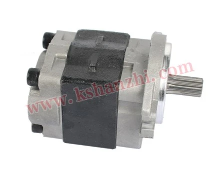 Phụ tùng xe nâng Hanzhi CBHZ-F31.5-ALH6LJY Bơm thủy lực cho Hc Hl H2000/TLF 490