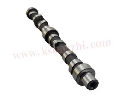 Bộ phận nâng của trục cam Được sử dụng cho Xinchai 495 (495B-06001)